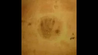 The Cursed Handprint of Alexander Campbell