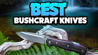 Best Bushcraft Knives in 2021 - Which Is The Best For You?