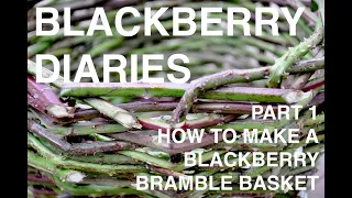 BLACKBERRY DIARIES : Part 1 : How To Make A Blackberry Bramble Basket