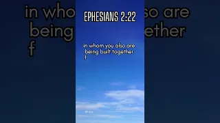 Ephesians 2:22 | Daily Bible Verse #shorts #god #bibleverse #ephesians #jesus #church