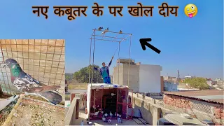 New kabutar ke par khol biy or par kata niche gir gaya😱#pigeon #youtube #srfpigeonsjaipur