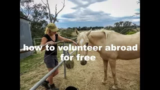 How to volunteer abroad for free