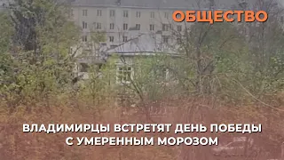 Владимирцы встретят День Победы с умеренным морозом