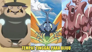 TEMPAT TINGGAL PARA BIJUU SETELAH KEMATIAN KURAMA