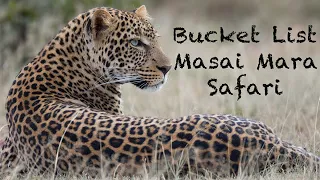 Bucketlist Masai Mara Safari  February, 2018