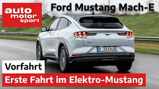 Ford Mustang Mach-E: Die erste Fahrt im Elektro-Mustang – Fahrbericht/Review | auto motor sport