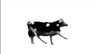 Bò Ba Lan - Polish Cow Vietsub meme edit