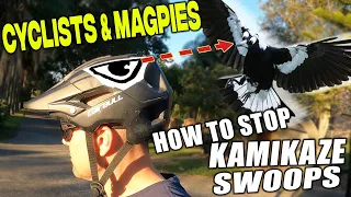 How to Stop MAGPIES SWOOPING CYCLISTS - Easy Hack