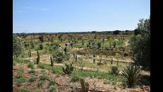 Inaugurati "Giardini Mileto"