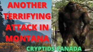 Episode 305 TERRIFYING BIGFOOT ATTACK IN MONTANA