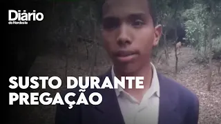 Onça-parda 'interrompe' pregação de pastor durante live em mata de SP