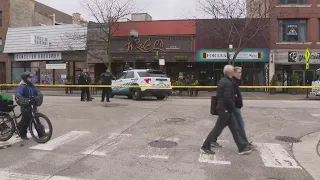 Police: Elderly woman shot in Lakeview East