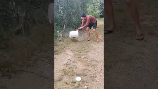 puff adder strikes! trying to move an aggressive adder! #shorts #puffadder #snake #adder