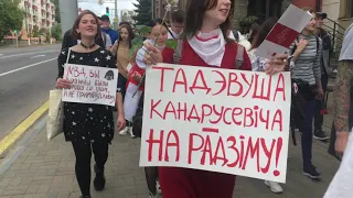 Тры чарапахі на шэсці ў Віцебску