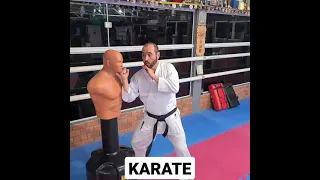 Karate - Treino para Defesa Pessoal. #karate #karatebrasil #defesapessoal #santamariars