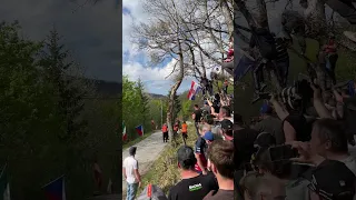 WRC Croatia Rally 2023 -  FIGHT FANS