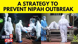 Nipah Virus Latest News | No New Nipah Virus Infection Reported In Kerala | Kerala Nipah Virus| N18V