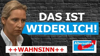 🔥 Alice Weidel und Tino Chrupalla packen aus! Das ist WIDERLICH! 🔥