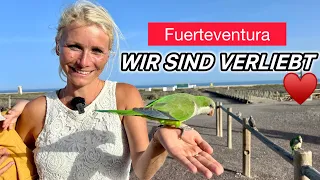 Das neue Abenteuer beginnt | Fuerteventura Tour #1