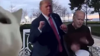 Biden bongo