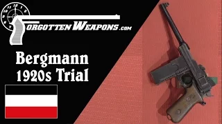 Bergmann 1920s Experimental Military Trials Pistol