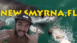 Shark ATTACK Capital of the World | New Smyrna Beach | Surfing in Florida
