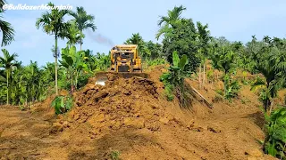 How CAT Dozer Makes Terraces On Banana's Plantation Turn Into Palm Oil Plantation P4