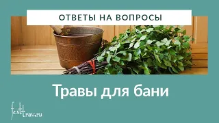 И. Гудаева "Какие травы подходят для бани?"