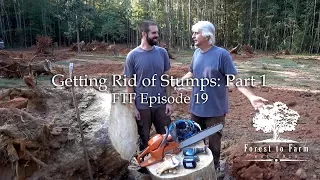 Clearing House Sites: Getting Rid of Stumps - Pt 1