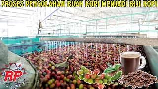 BEGINILAH PROSES PENGOLAHAN BIJI KOPI DARI PANEN HINGGA MENJADI BIJI KOPI SIAP SANGRAI