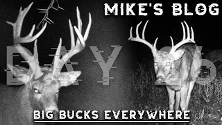 Moss, Joey B, Tiki, And New Stud In The Plot, Amazing Late Season Hunt On A Warm Day | Mike's Blog