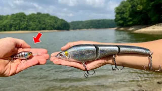 FISHING EXPERIMENT: HUGE Swimbaits vs. TINY Crankbaits!!! (This Lake is ALMOST DRAINED)