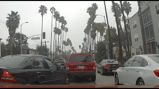 The Bad Drivers of Los Angeles 45