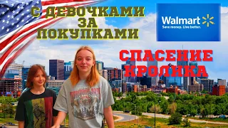 #75 США Walmart: Цены И Закупка Продуктов/Спасение Крольчонка/С Дочурками За Покупками/МЫ В АМЕРИКЕ