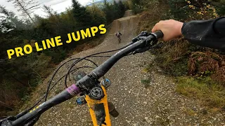 DYFI BIKE PARK (Icon way, flowstate, racetrack and more!)