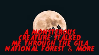 DOGMAN, A MONSTEROUS CREATURE STALKED ME THROUGH THE GILA NATIONAL FOREST & MORE