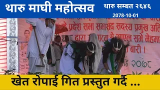 खेत रोपाई गित प्रस्तुत गर्दै सपही ग्रुप . Khet Ropai Geet ...  Sapahi Group - kolhabi TV