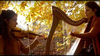 Celtic music - "Brocéliande" and "La Complainte de la Blanche Biche" - Harp and violin