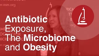 Antibiotic Exposure, The Microbiome and Obesity