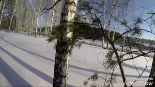 Врезался в дерево на снегоходе 2017 г.