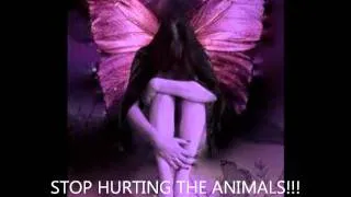 stop animal cruelty- bring me to life song by evanescence