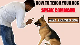 How To EASILY Train Your Dog To SPEAK Or BARK Command | Easy Home Training