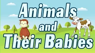 Babies of Animals | Animals and Their Babies | Learn about animals and their babies