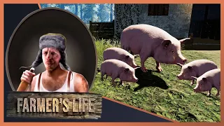 Свинья опоросилась юхууууу ▶️👨‍🌾FARMERS LIVE #42 "Прохождение"