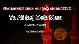 Ya Ali Moula Mera | 21 Ramzan Noha 2023 | Sibtain Haider #slowedandreverb #alimaula #youtube #yt