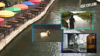 Will the San Antonio River ever be swimmable? KSAT Explains