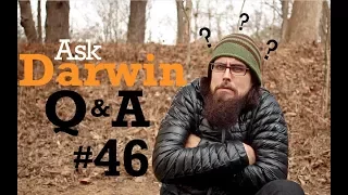 Ask Darwin Q&A #46 (Answers)