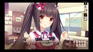 Некопара | Кошкодеды воевали, а ты их ешь... | Let's play Nekopara #1 | Посиделки в Discord'е писька