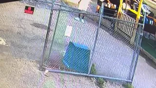 Video footage of the suspect driving his vehicle into a food truck