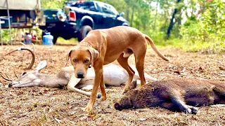 Wild HOG & DEER {Catch Clean Cook} Part 2 | SKINNING & QUARTERING (Game Wardens Called)